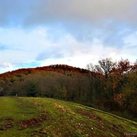 Grazioso Open Space *