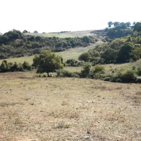 Grazioso Open Space Apartament Sacrofano