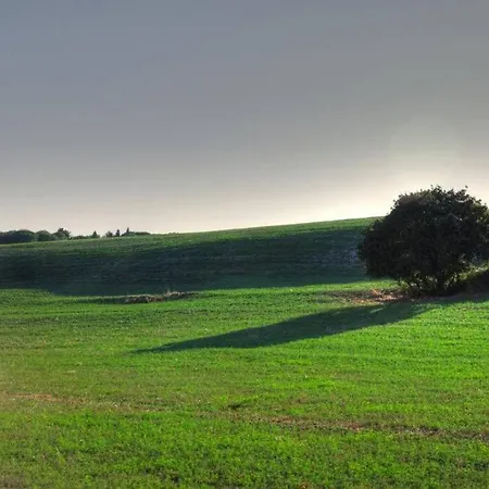 Grazioso Open Space